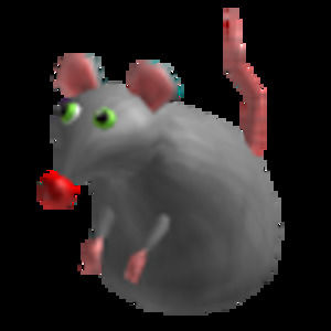 Meet your Posher, Isabelle